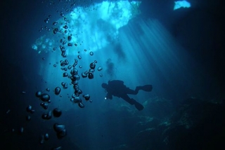 Interior de un cenote